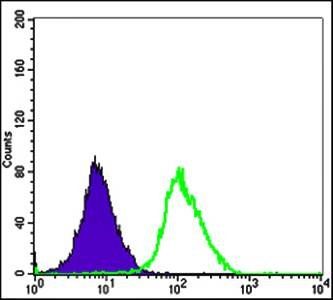 ERK3 Antibody