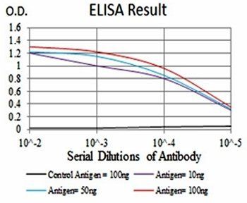 EZH2 Antibody