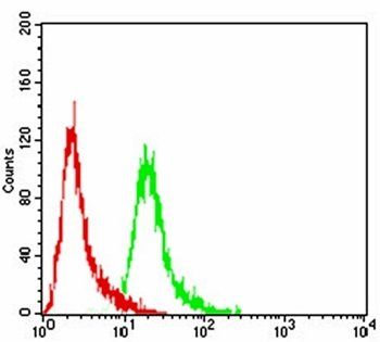 EZH2 Antibody