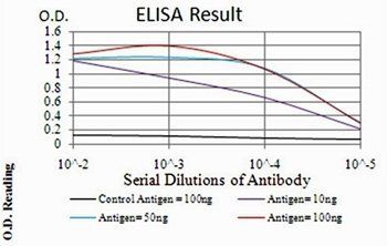 EZR Antibody