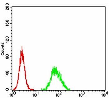 EZR Antibody