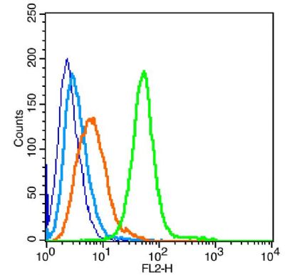 IFITM1 Rabbit Polyclonal Antibody