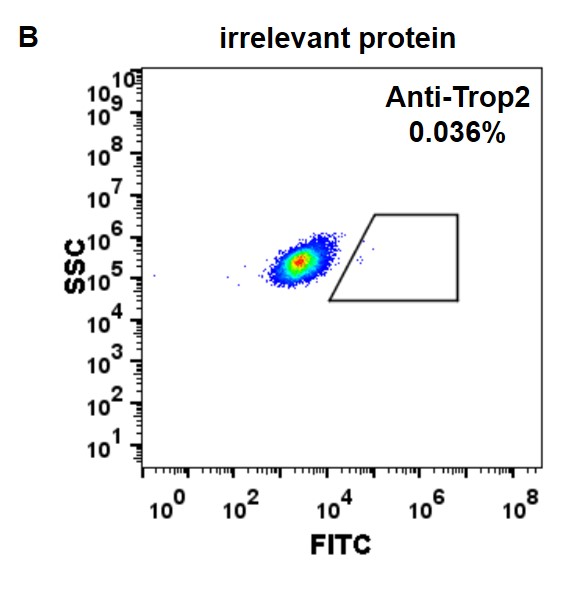 Trop2 Antibody