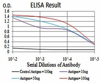 FBXL10 Antibody