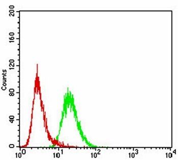 FBXL10 Antibody