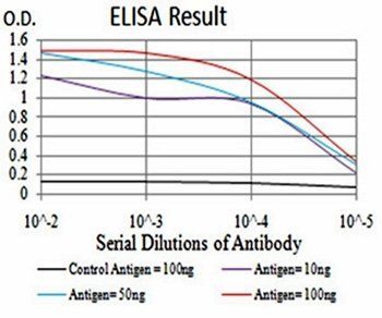 FBXL10 Antibody