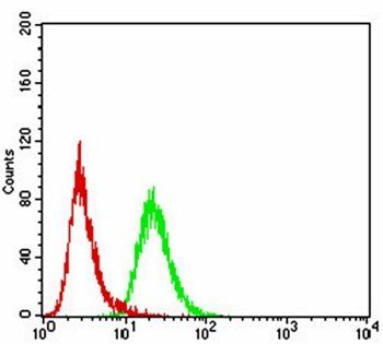 FBXL10 Antibody