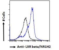 NR1H2 antibody