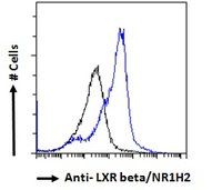 Goat anti-LXR beta / NR1H2 Antibody