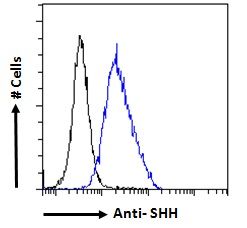 Goat anti-SHH Antibody