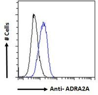 alpha 2a Adrenergic Receptor antibody