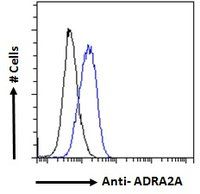 Goat anti-ADRA2A Antibody