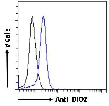 DIO2 antibody