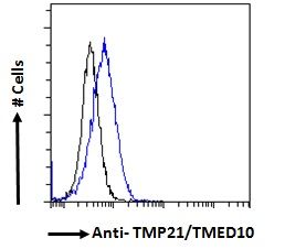 Goat anti-TMP21 / TMED10 Antibody