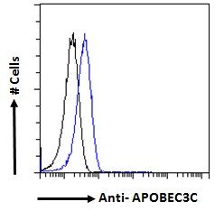 APOBEC3C antibody