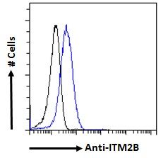 Goat anti-ITM2B Antibody