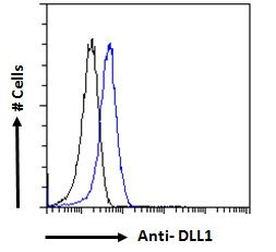 Goat anti-DLL1 Antibody
