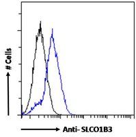 Goat anti-SLCO1B3 Antibody