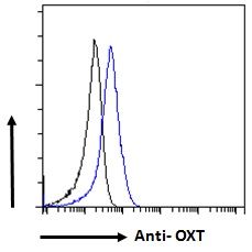 Goat anti-OXT (mouse) Antibody