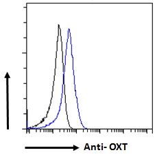 Oxytocin antibody