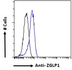 Goat anti-ZGLP1 Antibody