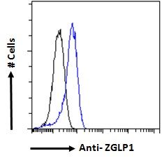 ZGLP1 antibody