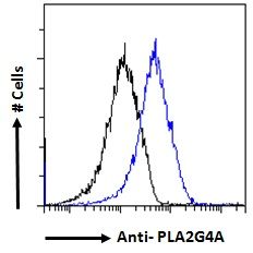 Goat anti-PLA2G4A Antibody