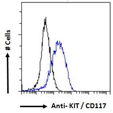 c-Kit antibody