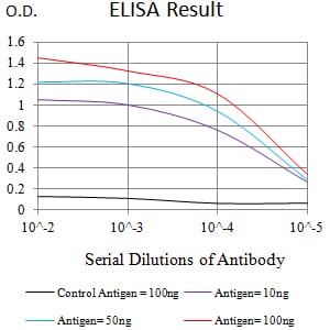 CD182 Antibody