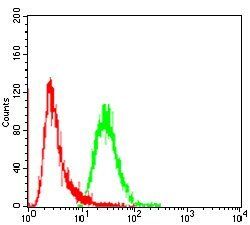 FGFR3 Antibody