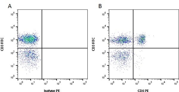 CD4 Antibody