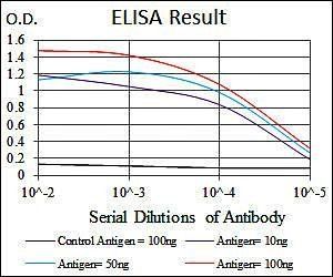 FN1 Antibody