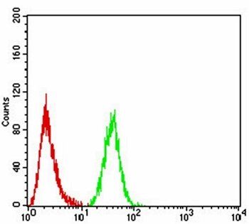 FOXP3 Antibody