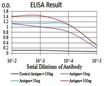 FOXP3 Antibody