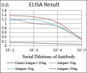 FTL Antibody