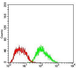 FTL Antibody