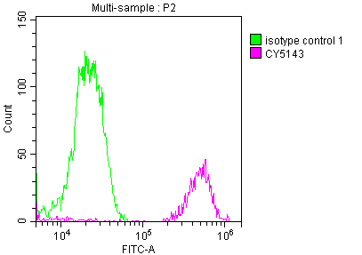 FUBP1 Recombinant Monoclonal Antibody