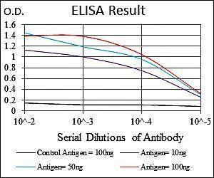 G6PD Antibody