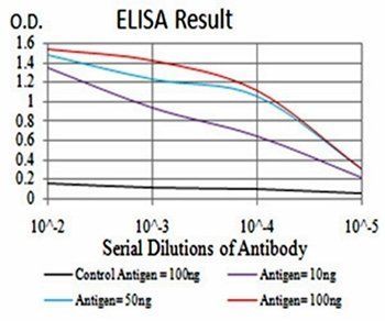 GAD2 Antibody