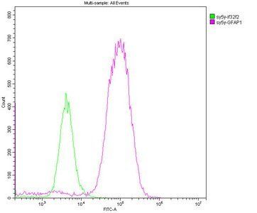 GFAP Monoclonal Antibody
