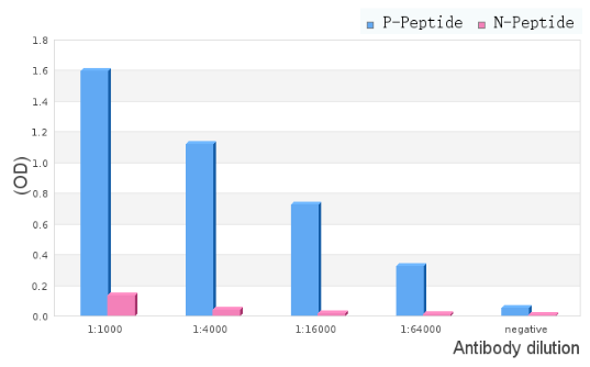 AKT (Phospho-Ser473) antibody