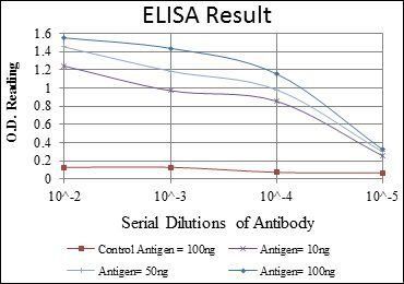 GKAP Antibody