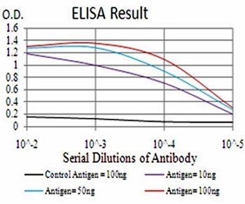 GLI1 Antibody