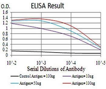 GLI1 Antibody