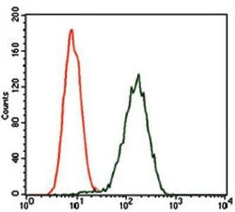 GPC3 Antibody