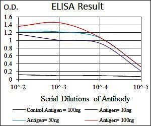 GRIA2 Antibody