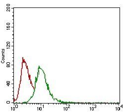 GSC Antibody