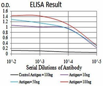 HDAC4 Antibody