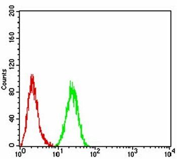 HDAC4 Antibody