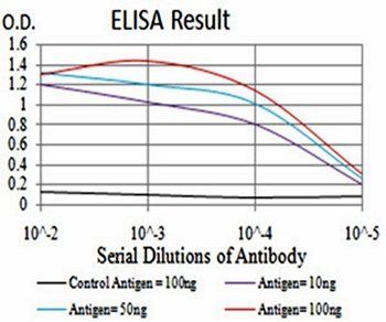 HDAC4 Antibody